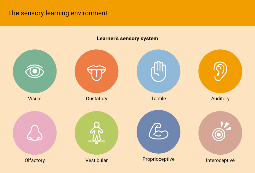 An illustration titled “The sensory learning environment.” Below the heading “Learner’s sensory system,” there are eight colored circles arranged in two rows, each circle containing a simple icon and label for a different sense: Visual (eye) Gustatory (tongue) Tactile (hand) Auditory (ear) Olfactory (nose) Vestibular (standing figure) Proprioceptive (flexed arm) Interoceptive (body-awareness icon).